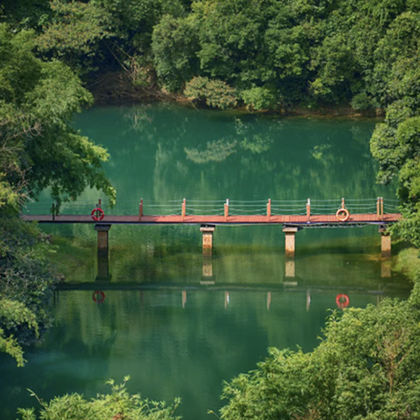 肇庆+鼎湖山+宝鼎园+蝴蝶谷+庆云寺+飞水潭一日游 肇庆+鼎湖山+宝鼎园+蝴蝶谷+庆云寺+飞水潭一日游
