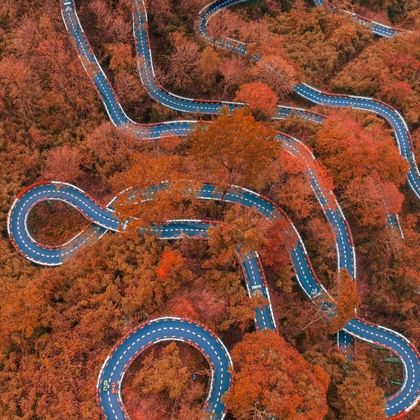 巴中光雾山旅游景区+米仓山国家森林公园1日包车游(红叶彩林) 巴中光雾山旅游景区+米仓山国家森林公园1日包车游(红叶彩林)