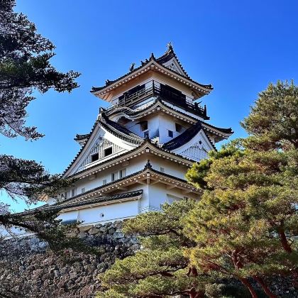 日本四国+高知城+桂滨+弘人市场包车一日游/可定制 日本四国+高知城+桂滨+弘人市场包车一日游/可定制