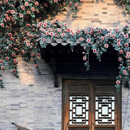 山东青州古城+偶园+范公亭公园+云门山一日游可中英文服务 山东青州古城+偶园+范公亭公园+云门山一日游可中英文服务