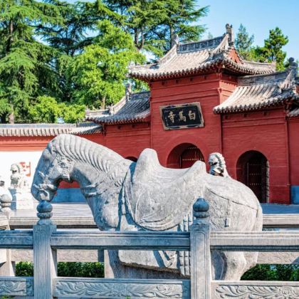 河南洛阳少林寺+白马寺一日游【纯玩无购物|导游讲解|上门接】 河南洛阳少林寺+白马寺一日游【纯玩无购物|导游讲解|上门接】