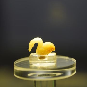 三门峡函谷关-虢国博物馆-陕州地坑院1日游 三门峡函谷关-虢国博物馆-陕州地坑院1日游