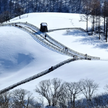 【首尔雪原牧场之约】发旺山+三养牧场+【鬼怪取景地打卡】 【首尔雪原牧场之约】发旺山+三养牧场+【鬼怪取景地打卡】