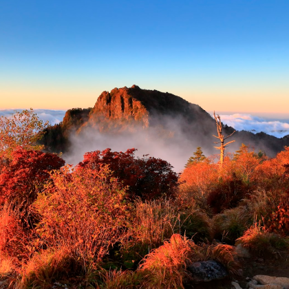 智异山秋季秘境:森林步道+溪谷美景+泉隐寺日游 (釜山出发) 智异山秋季秘境:森林步道+溪谷美景+泉隐寺日游 (釜山出发)