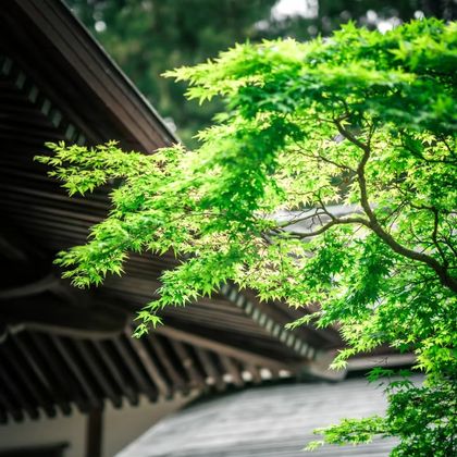 日本仙台历史文化之旅-仙台城迹+大崎八幡宫+仙台东照宫包车游 日本仙台历史文化之旅-仙台城迹+大崎八幡宫+仙台东照宫包车游