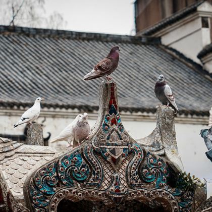 【私家团一单一团】黄鹤楼+古德寺+黎黄陂路+粮道街一日游 【私家团一单一团】黄鹤楼+古德寺+黎黄陂路+粮道街一日游