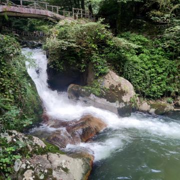 湖南株洲炎帝陵+炎陵县神农谷国家森林公园一日游可中英文服务 湖南株洲炎帝陵+炎陵县神农谷国家森林公园一日游可中英文服务