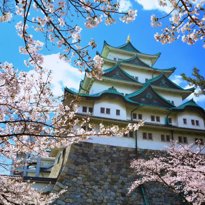 名古屋往返:竞马场+铃鹿赛车乐园包车游,中文接送/行程可调 名古屋往返:竞马场+铃鹿赛车乐园包车游,中文接送/行程可调