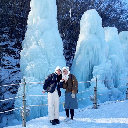 首尔出发:青阳阿尔卑斯村冰雪节 & 草莓摘採一日游 首尔出发:青阳阿尔卑斯村冰雪节 & 草莓摘採一日游