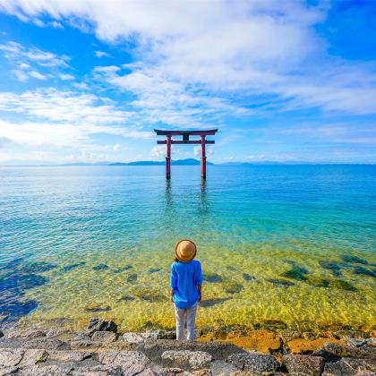 日本滋贺探秘之旅:琵琶湖+白须神社+童话草屋根,小众打卡M 日本滋贺探秘之旅:琵琶湖+白须神社+童话草屋根,小众打卡M
