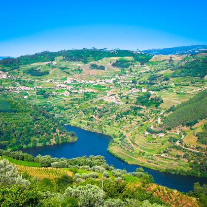 葡萄牙波尔图杜罗河谷+百年酒庄+古镇巡礼(酒乡文化一日游) 葡萄牙波尔图杜罗河谷+百年酒庄+古镇巡礼(酒乡文化一日游)