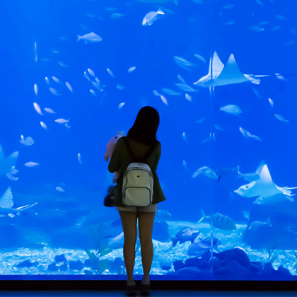 冲绳北部经典一日游【含水族馆门票丨美国村停留丨中文导游】 冲绳北部经典一日游【含水族馆门票丨美国村停留丨中文导游】