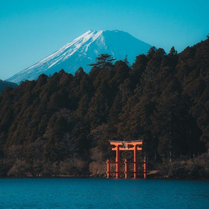 日本关东定制1日包车游【伊豆/横滨/日光/富士多地可选】 日本关东定制1日包车游【伊豆/横滨/日光/富士多地可选】