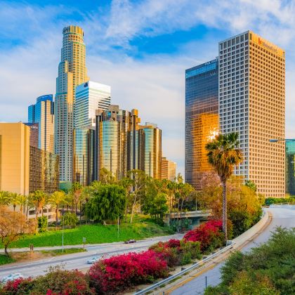 美国纳什维尔乡村音乐之都一日游【中文司导10H服务】 美国纳什维尔乡村音乐之都一日游【中文司导10H服务】