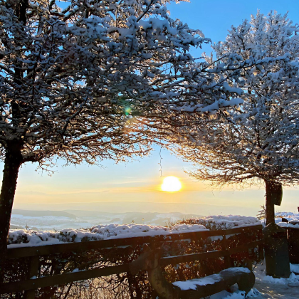苏黎世包车一日游:宗教艺术+阿尔卑斯山景+中世纪老城三重体验 苏黎世包车一日游:宗教艺术+阿尔卑斯山景+中世纪老城三重体验