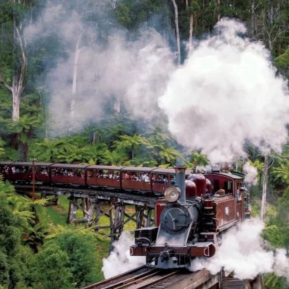 墨尔本宝藏路线 | 小火车+企鹅岛+动物园+诺比斯角包车日游 墨尔本宝藏路线 | 小火车+企鹅岛+动物园+诺比斯角包车日游