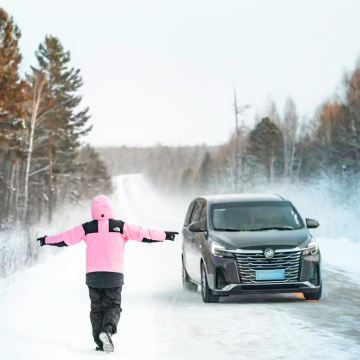 伊春库尔滨雾凇景区+红星火山公园一日游【包车-多种车型可选】 伊春库尔滨雾凇景区+红星火山公园一日游【包车-多种车型可选】