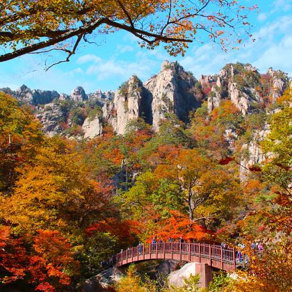 秋景 | 雪岳山国家公园 枫叶秘境 × 千年新兴寺 一日游 秋景 | 雪岳山国家公园 枫叶秘境 × 千年新兴寺 一日游