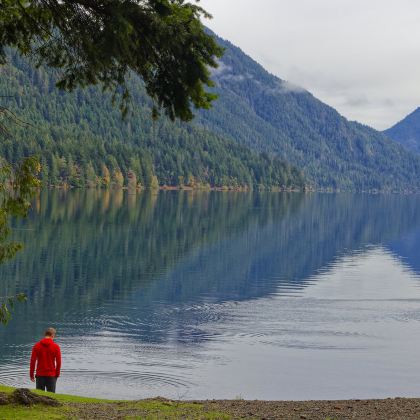 美国西雅图往返奥林匹克国家公园一日游【中文包车上门接】 美国西雅图往返奥林匹克国家公园一日游【中文包车上门接】