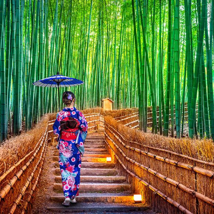 日本京都柳谷寺一日游 日本京都柳谷寺一日游