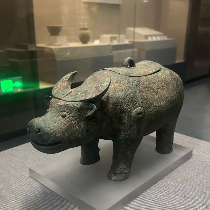 商丘博物馆半日游【精品小团+深度讲解】 商丘博物馆半日游【精品小团+深度讲解】