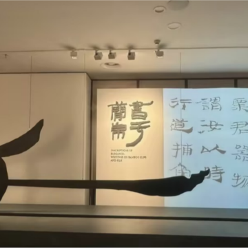 甘肃简牍博物馆2H讲解【寻陇记】10人内小团 · 可选私家团 甘肃简牍博物馆2H讲解【寻陇记】10人内小团 · 可选私家团