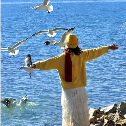 一日游解锁双秘境!羊卓雍措+卡若拉冰川 8-16人团多车型 一日游解锁双秘境!羊卓雍措+卡若拉冰川 8-16人团多车型