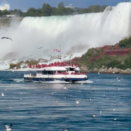 加拿大多伦多尼加拉瀑布-尼加拉湖滨小镇一日游 加拿大多伦多尼加拉瀑布-尼加拉湖滨小镇一日游