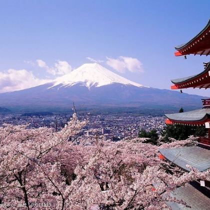出片率的富士山赏樱日游线路 中文司机丨行程可调 出片率的富士山赏樱日游线路 中文司机丨行程可调