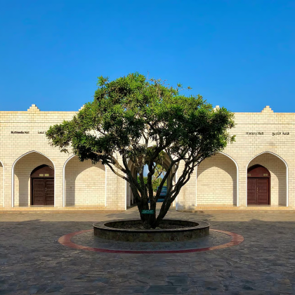 塞拉莱城区和西部海岸一日包车游 塞拉莱城区和西部海岸一日包车游