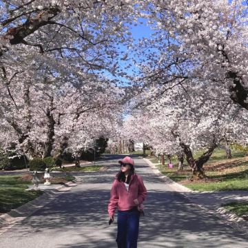 美国华盛顿-白宫-国会山-华盛顿纪念碑等景点可包车-精选 美国华盛顿-白宫-国会山-华盛顿纪念碑等景点可包车-精选