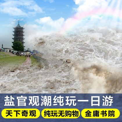 海宁盐官旅游度假区+钱观潮观潮一日游【免预约·含车+票】 海宁盐官旅游度假区+钱观潮观潮一日游【免预约·含车+票】