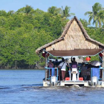 亚庇红树林|海龟苑|萤火虫长鼻猴+晚餐+下午茶+车接送+日落 亚庇红树林|海龟苑|萤火虫长鼻猴+晚餐+下午茶+车接送+日落