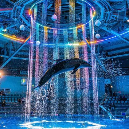 冲绳万座毛+冲绳冲绳美丽海水族馆+古宇利岛一日游 冲绳万座毛+冲绳冲绳美丽海水族馆+古宇利岛一日游