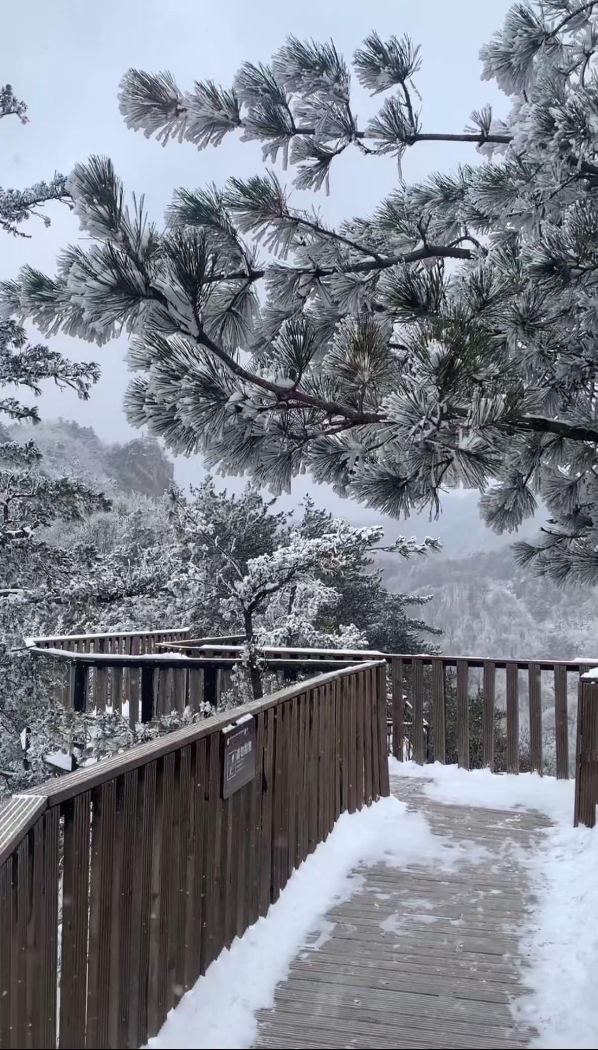 【南阳起止+跟团免60门票】西峡老界岭一日游 【南阳起止+跟团免60门票】西峡老界岭一日游