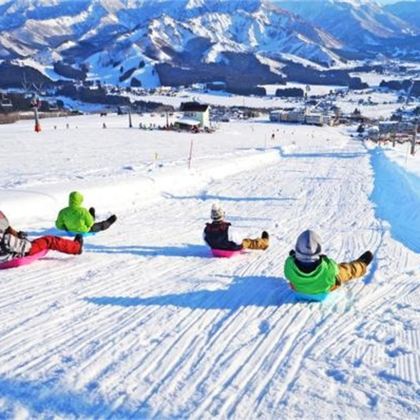东京出发 越后汤泽岩原滑雪场玩雪&滑雪一日游 可选教练套餐 东京出发 越后汤泽岩原滑雪场玩雪&滑雪一日游 可选教练套餐