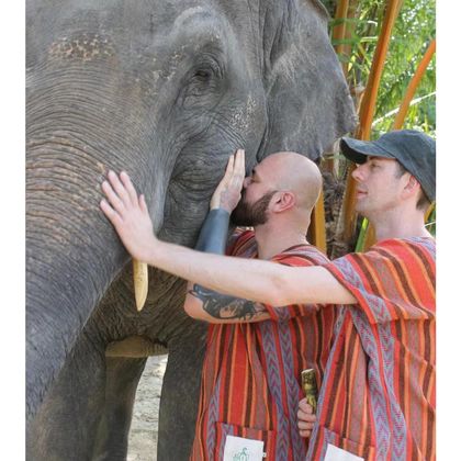 泰国普吉府普吉岛普吉岛奈迪大象保护营半日游