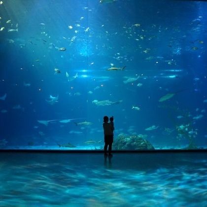 韩国济州市史努比乐园+济州岛Aqua Planet水族馆一日游