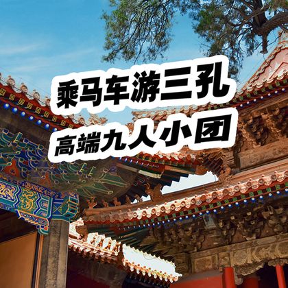 曲阜三孔景区+孔庙+孔府+孔林一日游 曲阜三孔景区+孔庙+孔府+孔林一日游