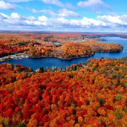 私家定制包车一日游 :亨茨维尔小镇+阿冈昆公园 私家定制包车一日游 :亨茨维尔小镇+阿冈昆公园