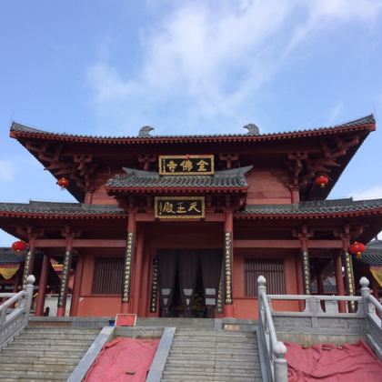 重庆金佛山一日游【纯玩无购物 | 门票一价全含 | 上门接】 重庆金佛山一日游【纯玩无购物 | 门票一价全含 | 上门接】