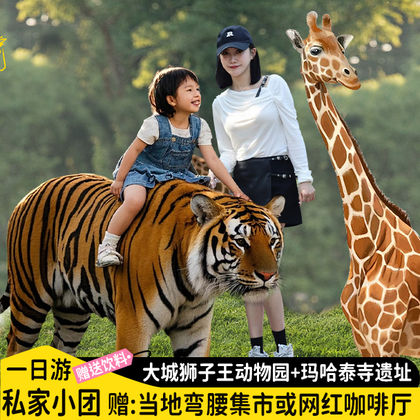 专车畅游大城狮子王动物园+玛哈泰寺:体验长颈鹿拍照老虎漫步 专车畅游大城狮子王动物园+玛哈泰寺:体验长颈鹿拍照老虎漫步
