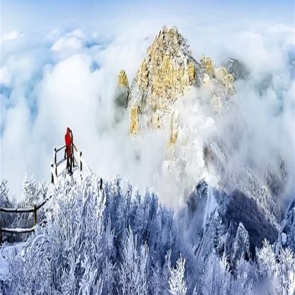 白石山世界地质公园一日游【赠送首道门票】巍巍太行-天下奇山 白石山世界地质公园一日游【赠送首道门票】巍巍太行-天下奇山