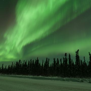 美国阿拉斯加州费尔班克斯【旷野追光/动态观测/市区酒店往返】 美国阿拉斯加州费尔班克斯【旷野追光/动态观测/市区酒店往返】