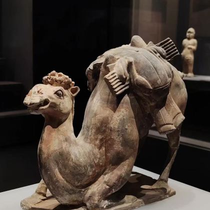 北朝考古博物馆+磁州窑博物馆+邺城考古博物馆 拼车游 北朝考古博物馆+磁州窑博物馆+邺城考古博物馆 拼车游