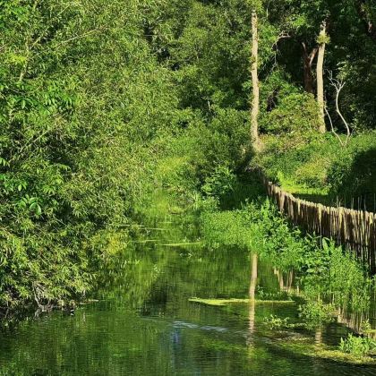 英国伦敦往返周边精选 博利厄庄园【中文司导 可定制多日包车】 英国伦敦往返周边精选 博利厄庄园【中文司导 可定制多日包车】