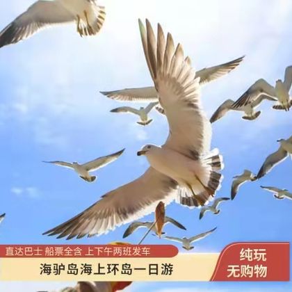 中国威海海驴岛一日游