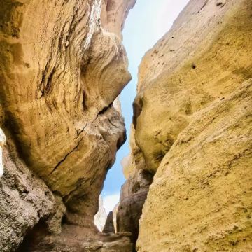 库尔勒罗布泊大裂谷+塔克拉玛干沙漠+罗布人村寨+神女湖一日游 库尔勒罗布泊大裂谷+塔克拉玛干沙漠+罗布人村寨+神女湖一日游