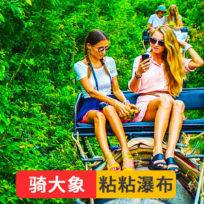 清迈纳财大象营半日游骑大象互动天使粘粘瀑布蓝庙竹筏漂流一日游 清迈纳财大象营半日游骑大象互动天使粘粘瀑布蓝庙竹筏漂流一日游