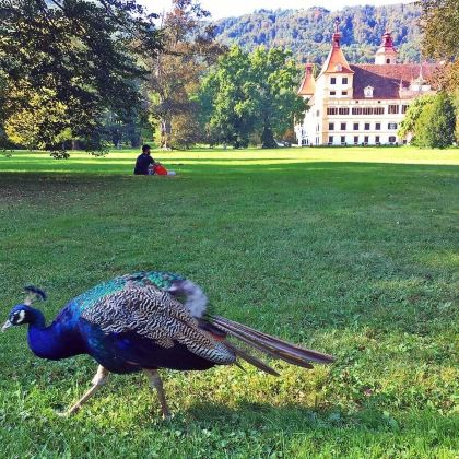维也纳--格拉茨老城 + 城堡山全景游 维也纳--格拉茨老城 + 城堡山全景游